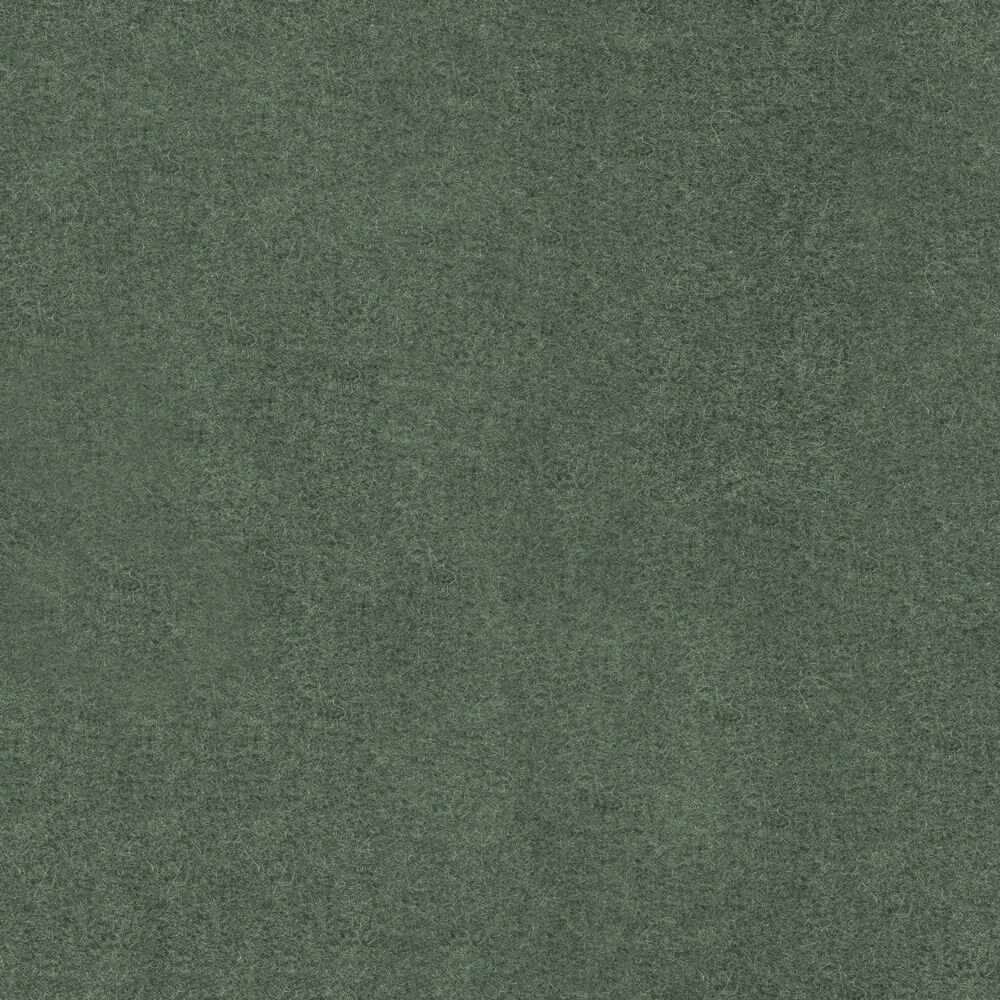 LICATA — Lichen