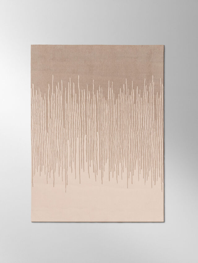 Reed