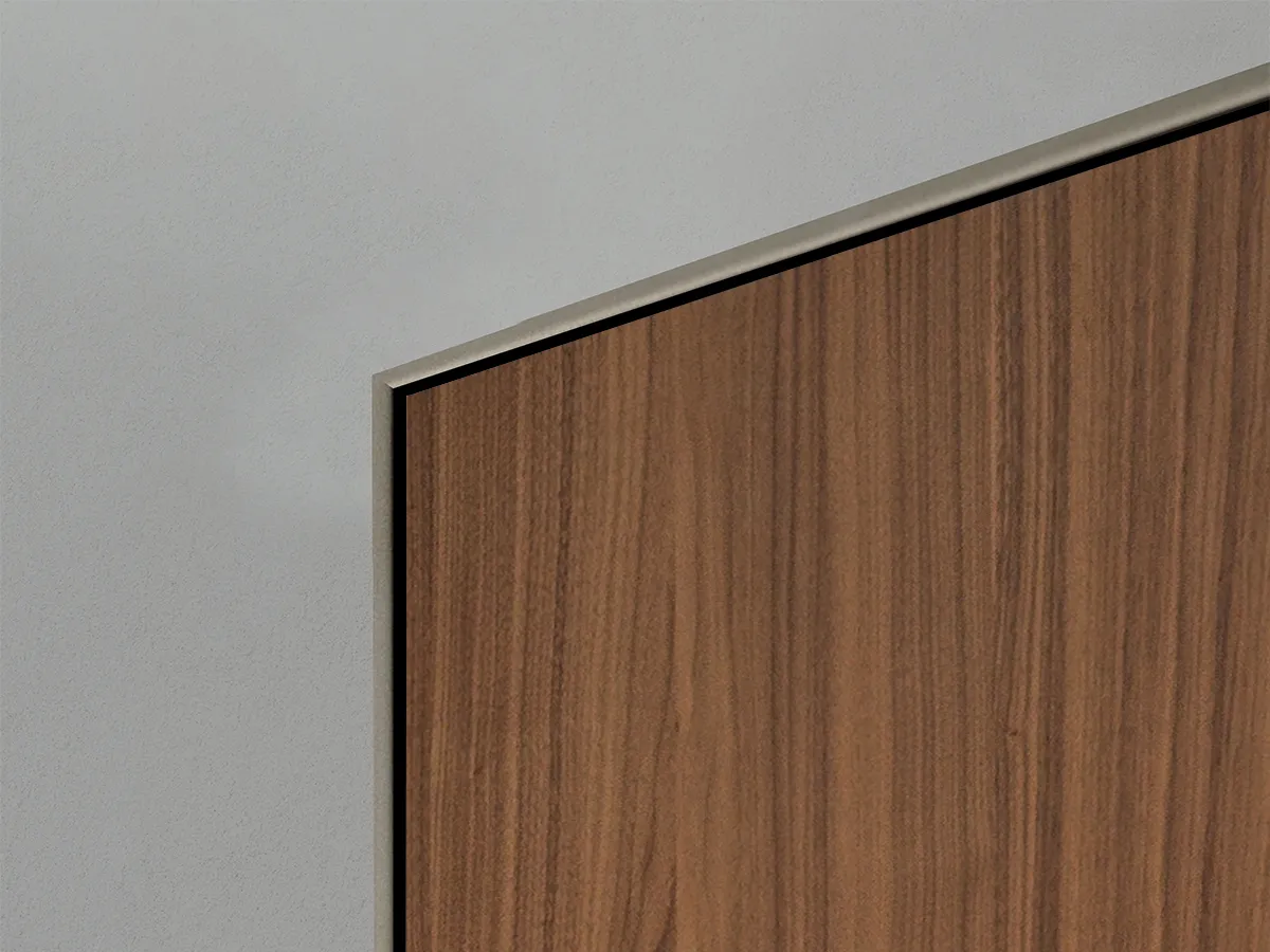 Flush-to-wall doors