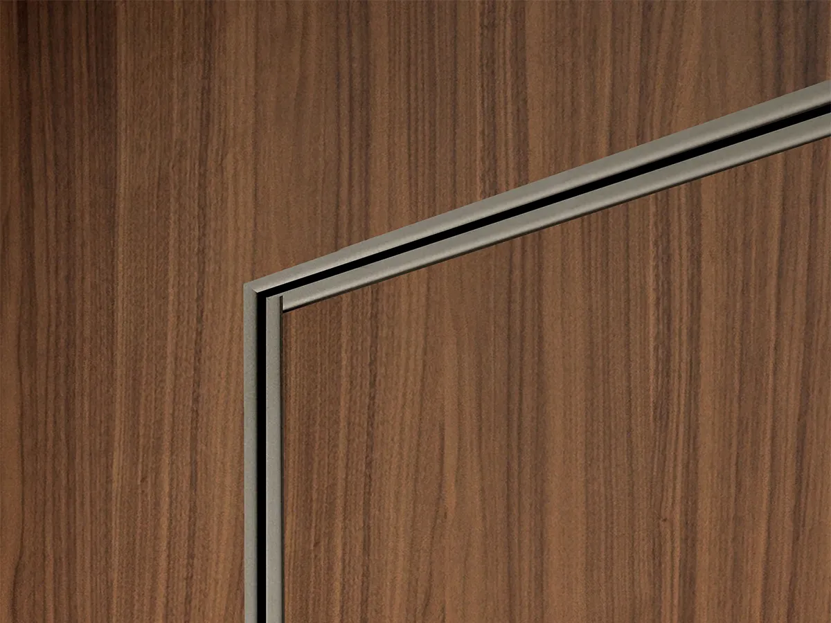 Flush-to-wall doors
