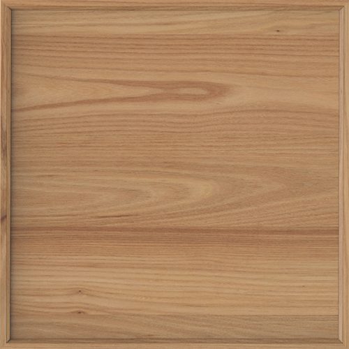 AMERICAN ELM SW