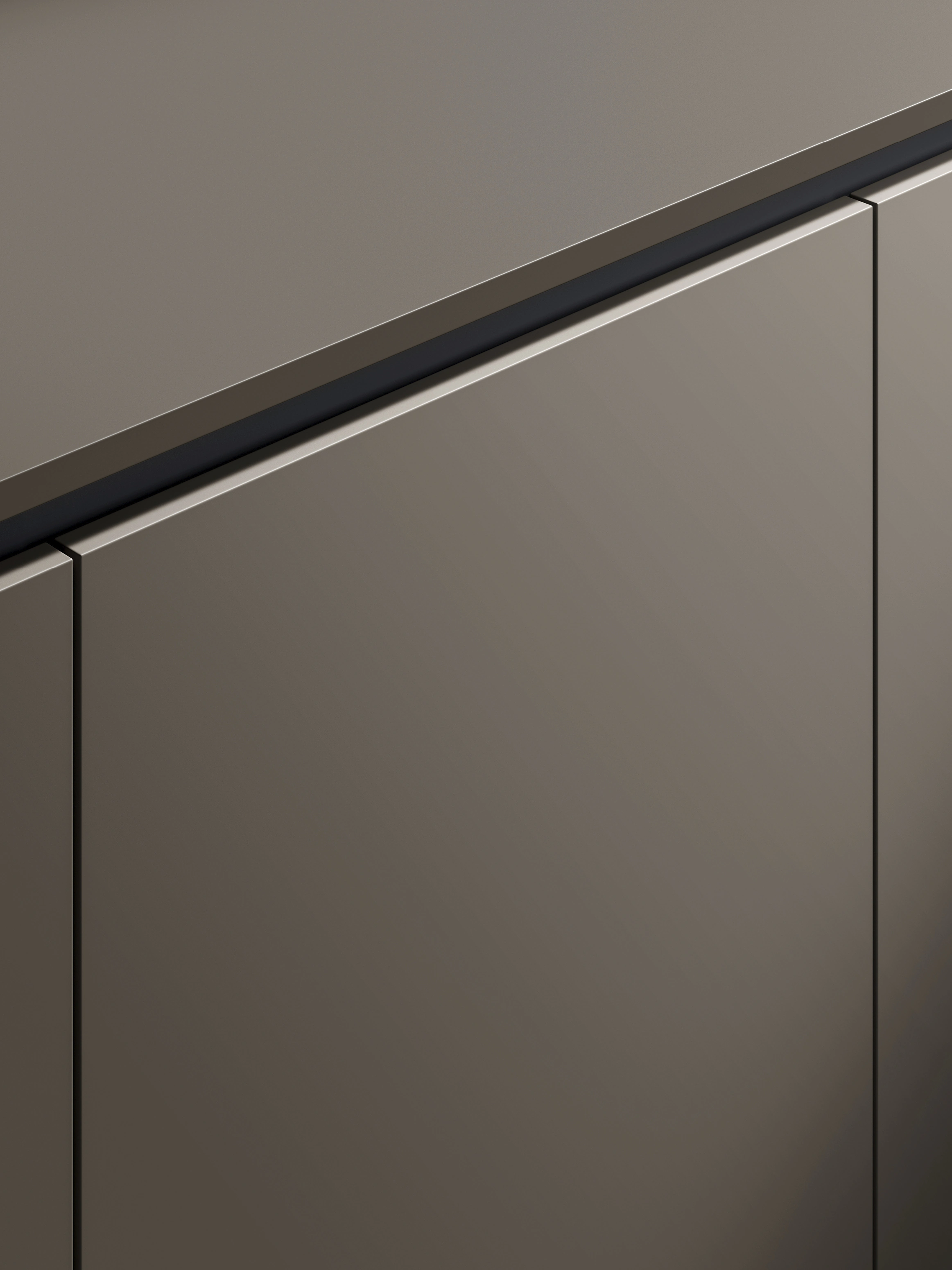 HANDLE RAIL