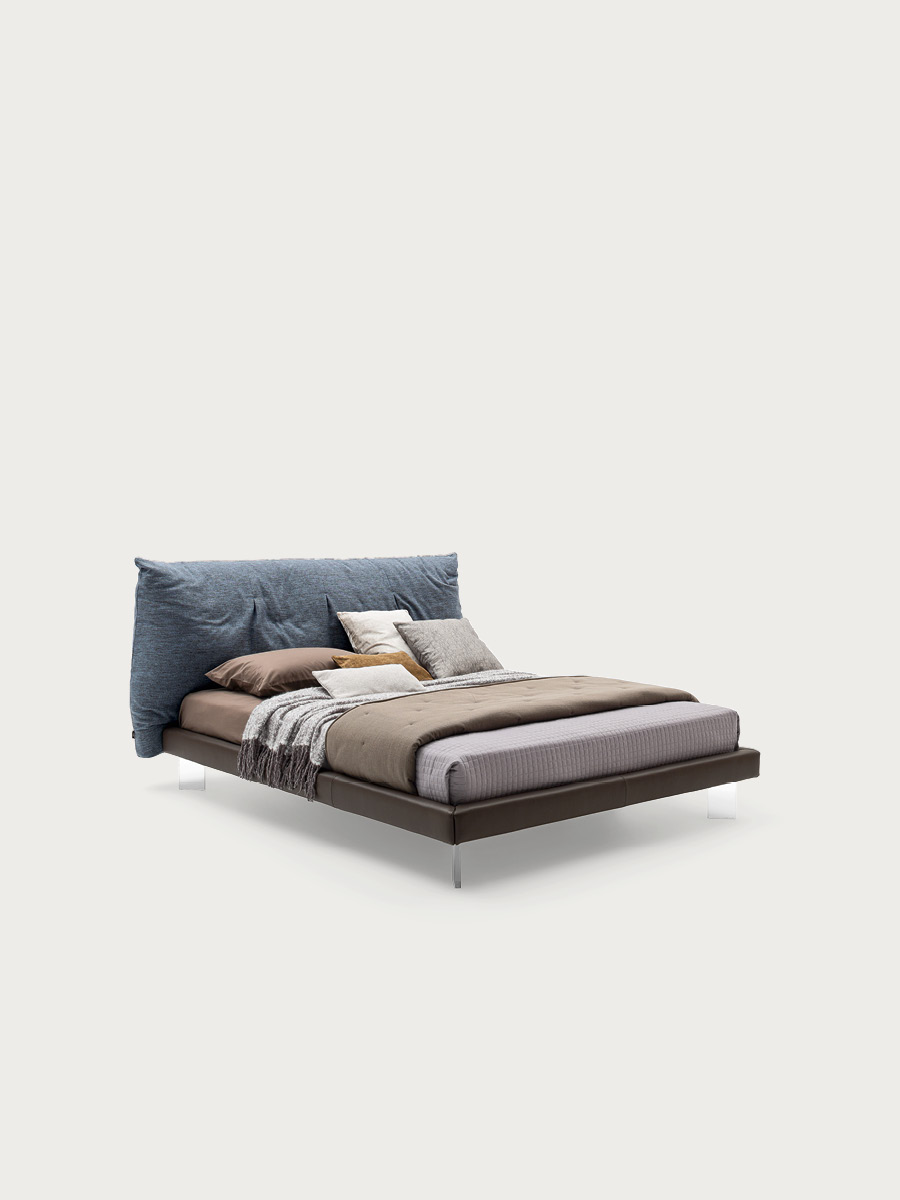Papilo