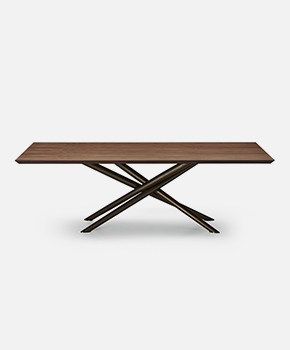 BALY wood top