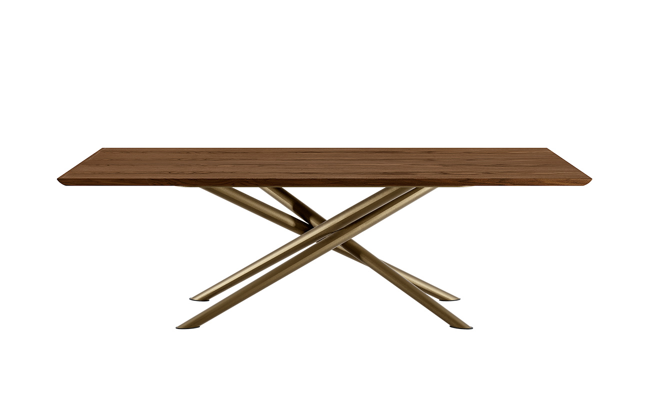 BALY wood top