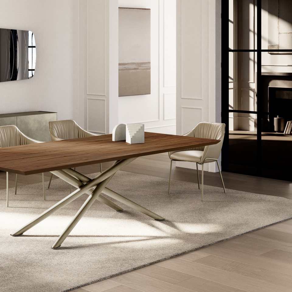 BALY wood top