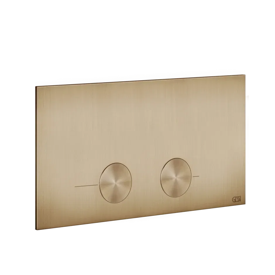FLUSH PLATE