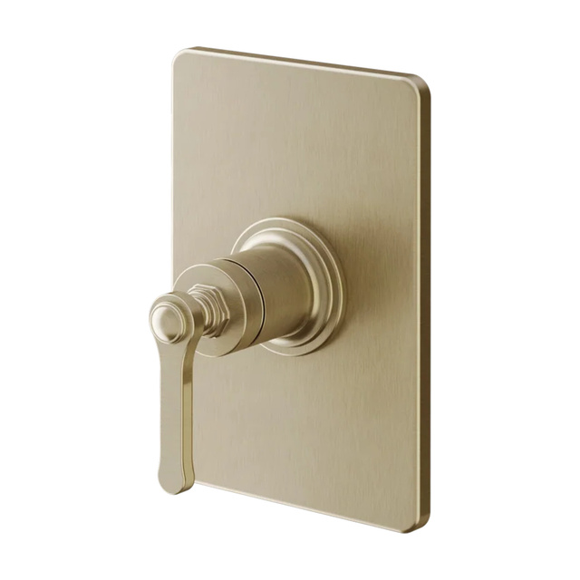 SHOWER MIXER