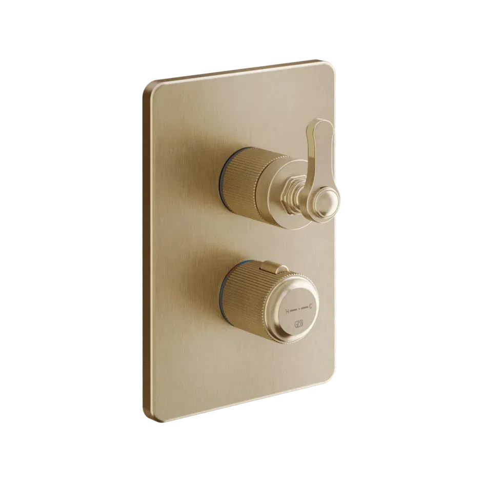 SHOWER MIXER