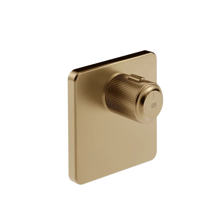 SHOWER MIXER