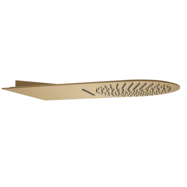 SHOWERHEAD