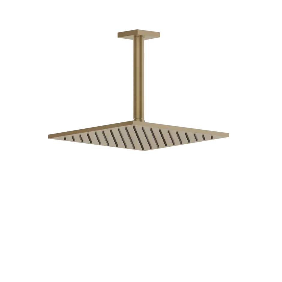 SHOWERHEAD