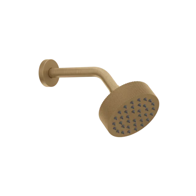 رأس دش