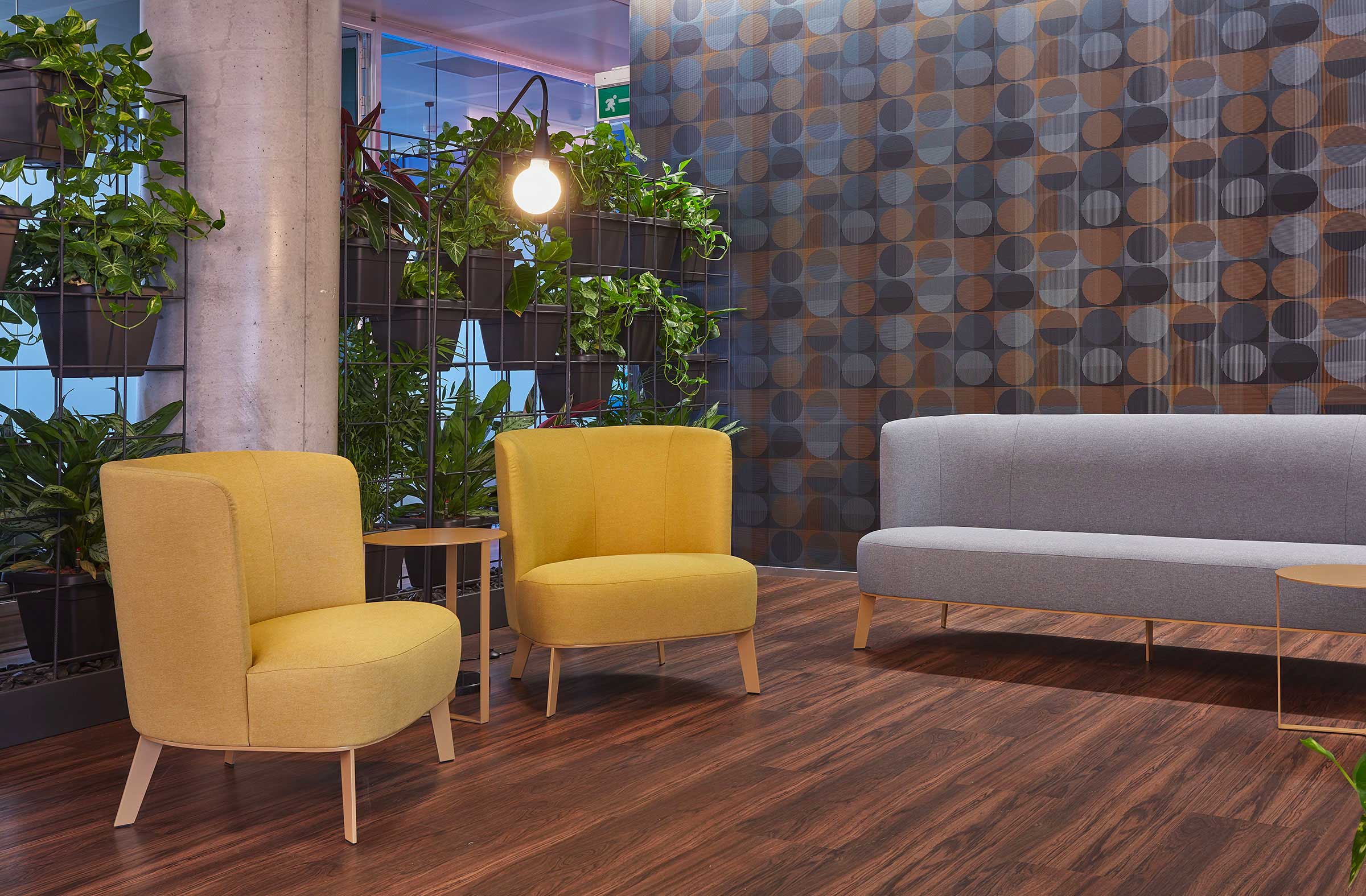 Derek