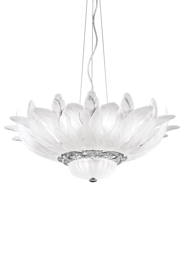 50