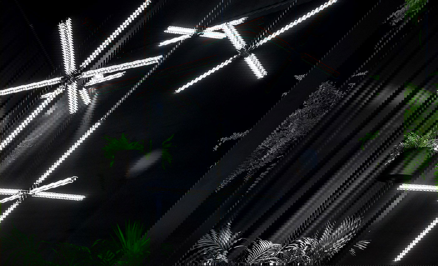 Hanabi star