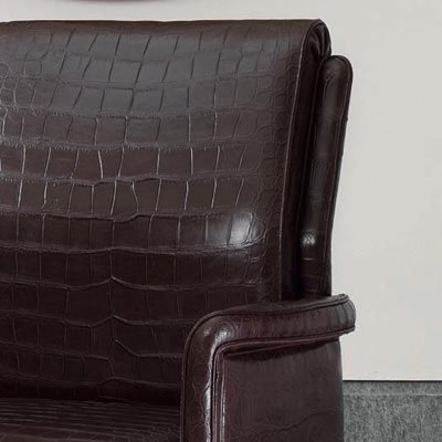 Vip J