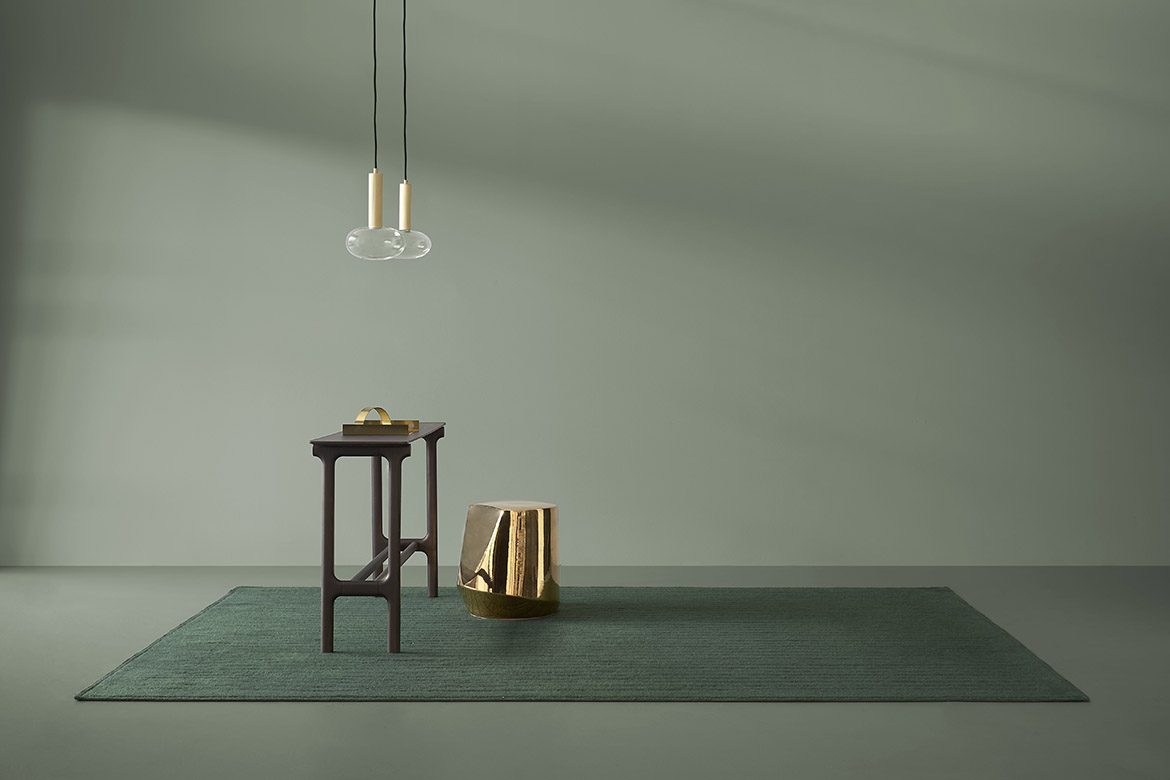 Pibiones