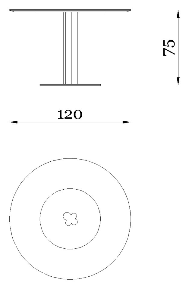Forest Light — Dimensions 4