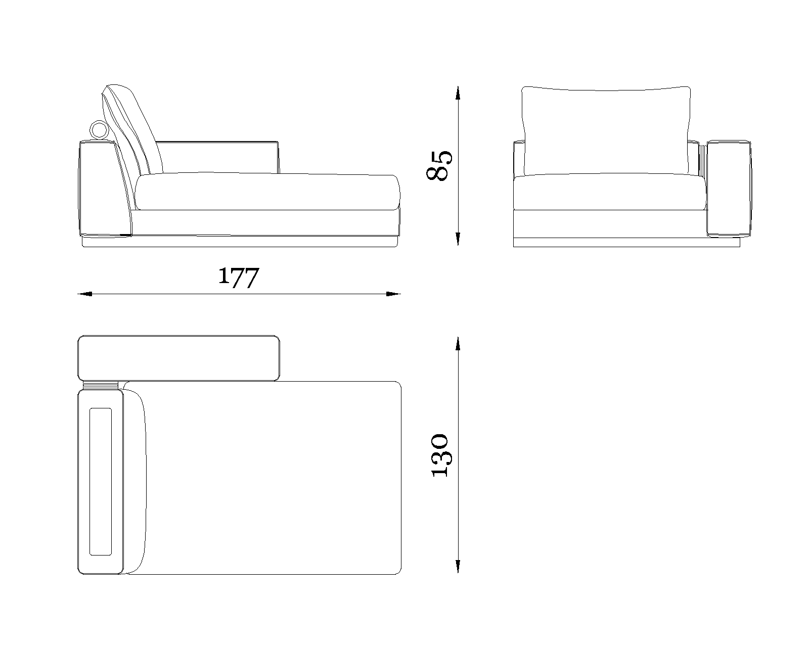 Nautilus