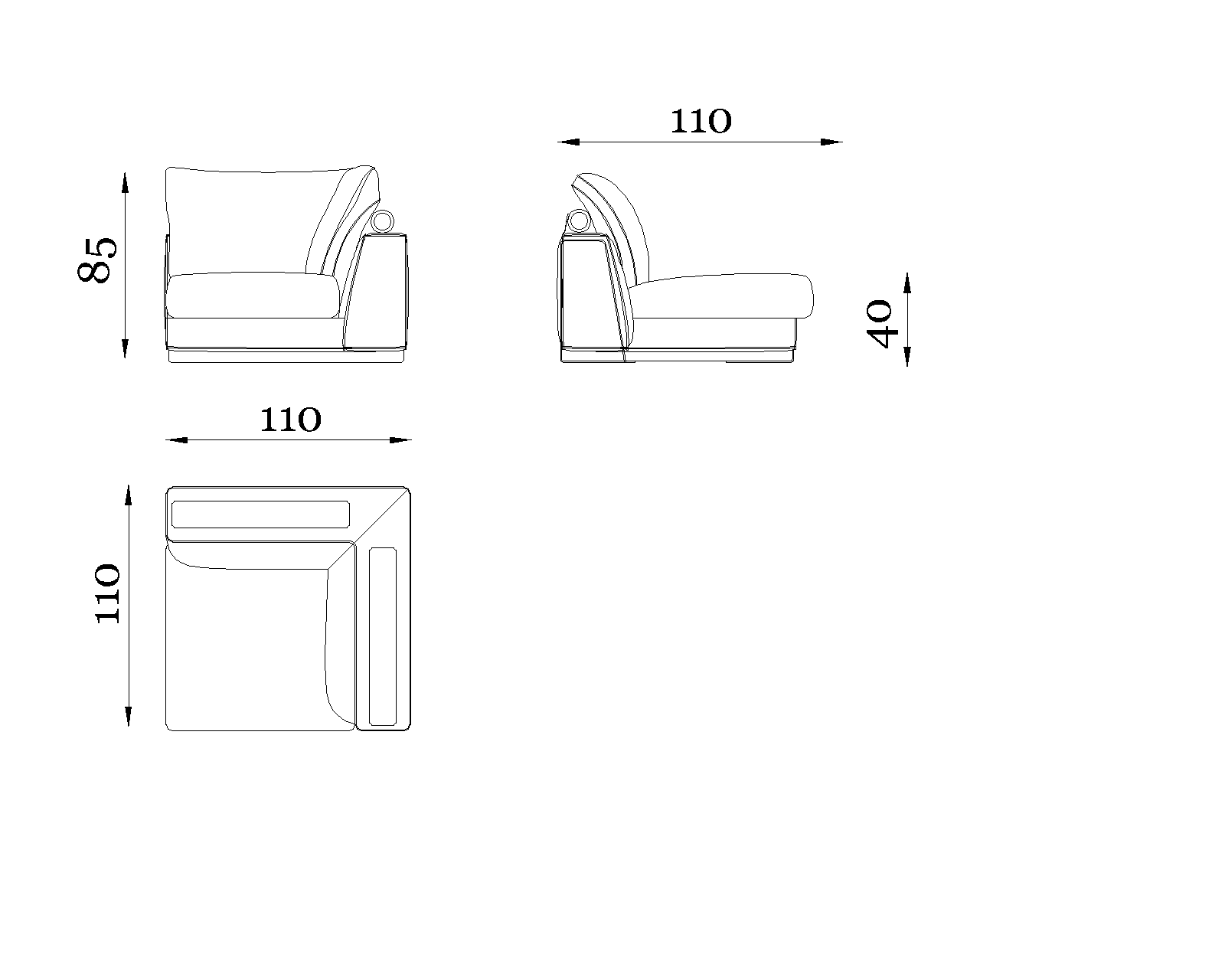 Nautilus