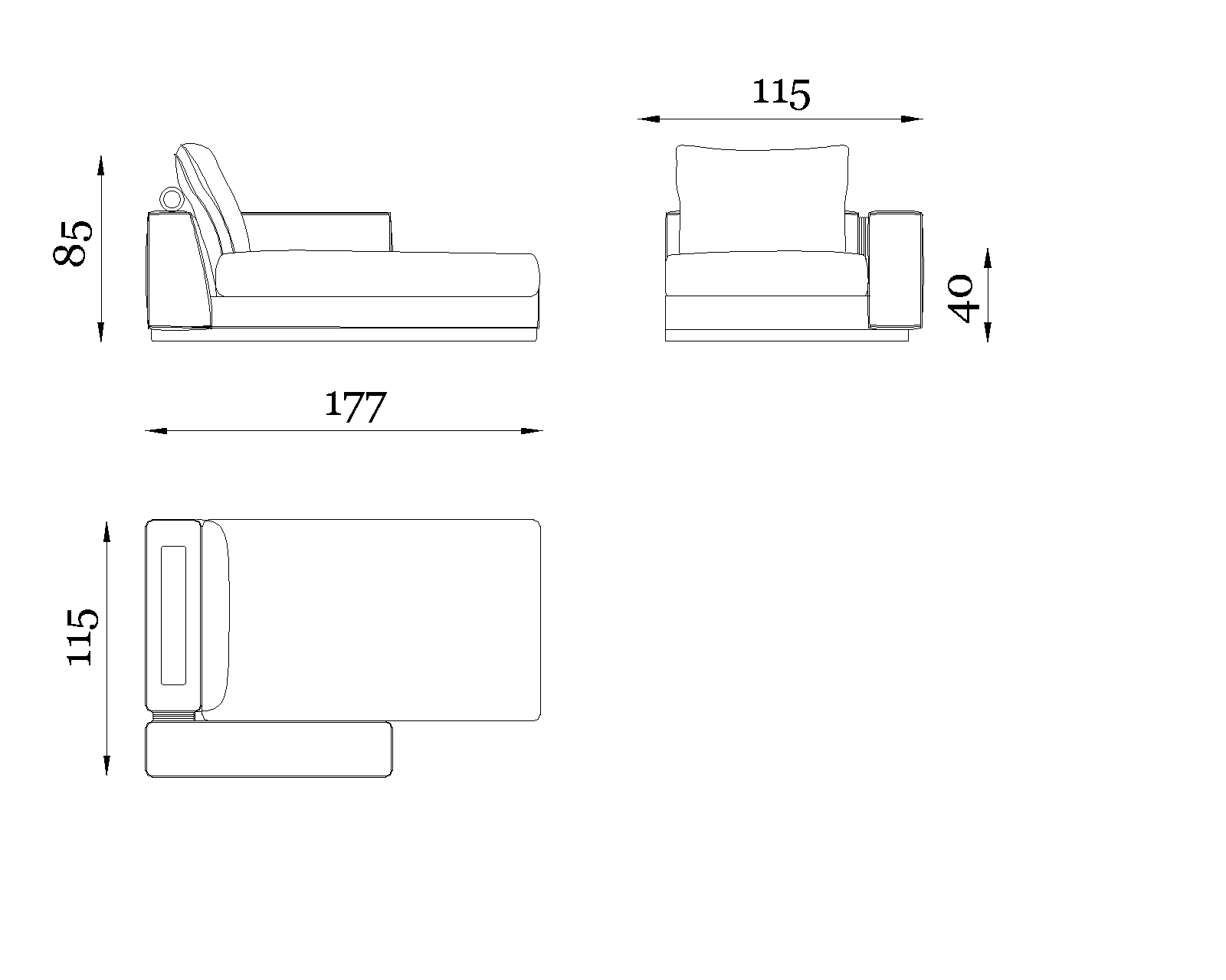 Nautilus