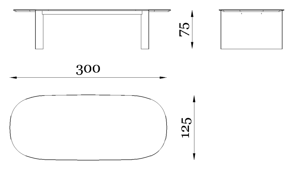Rugiano President Office desk — Dimensions 2