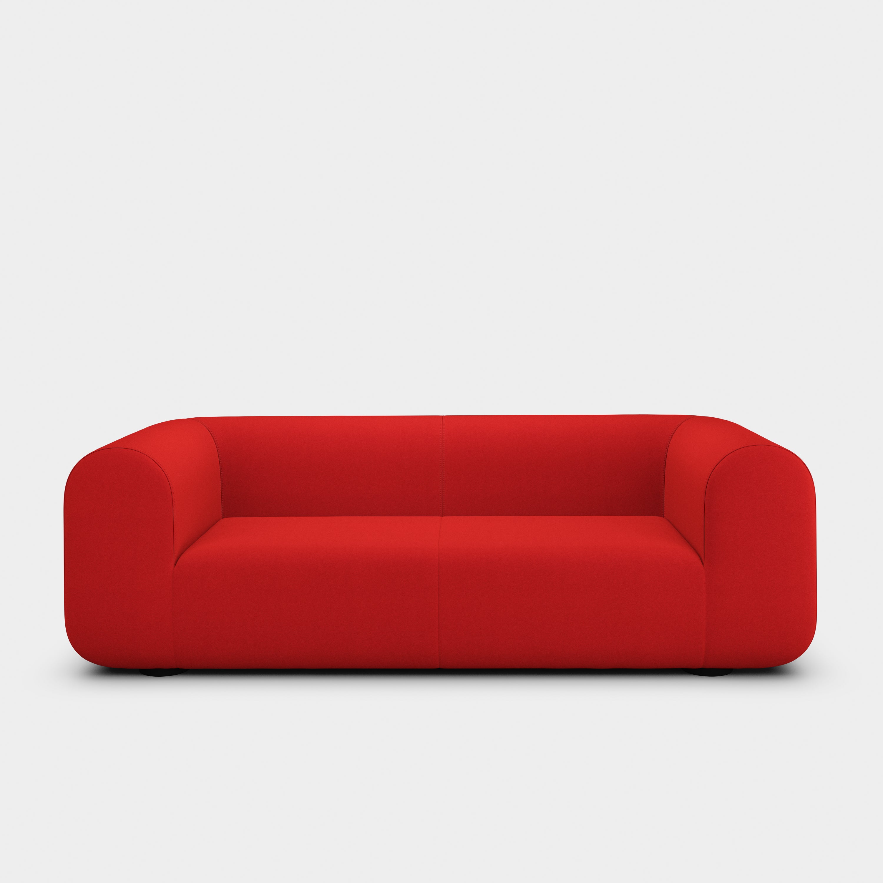 Plump 2.5-Seater Fixed Sofa