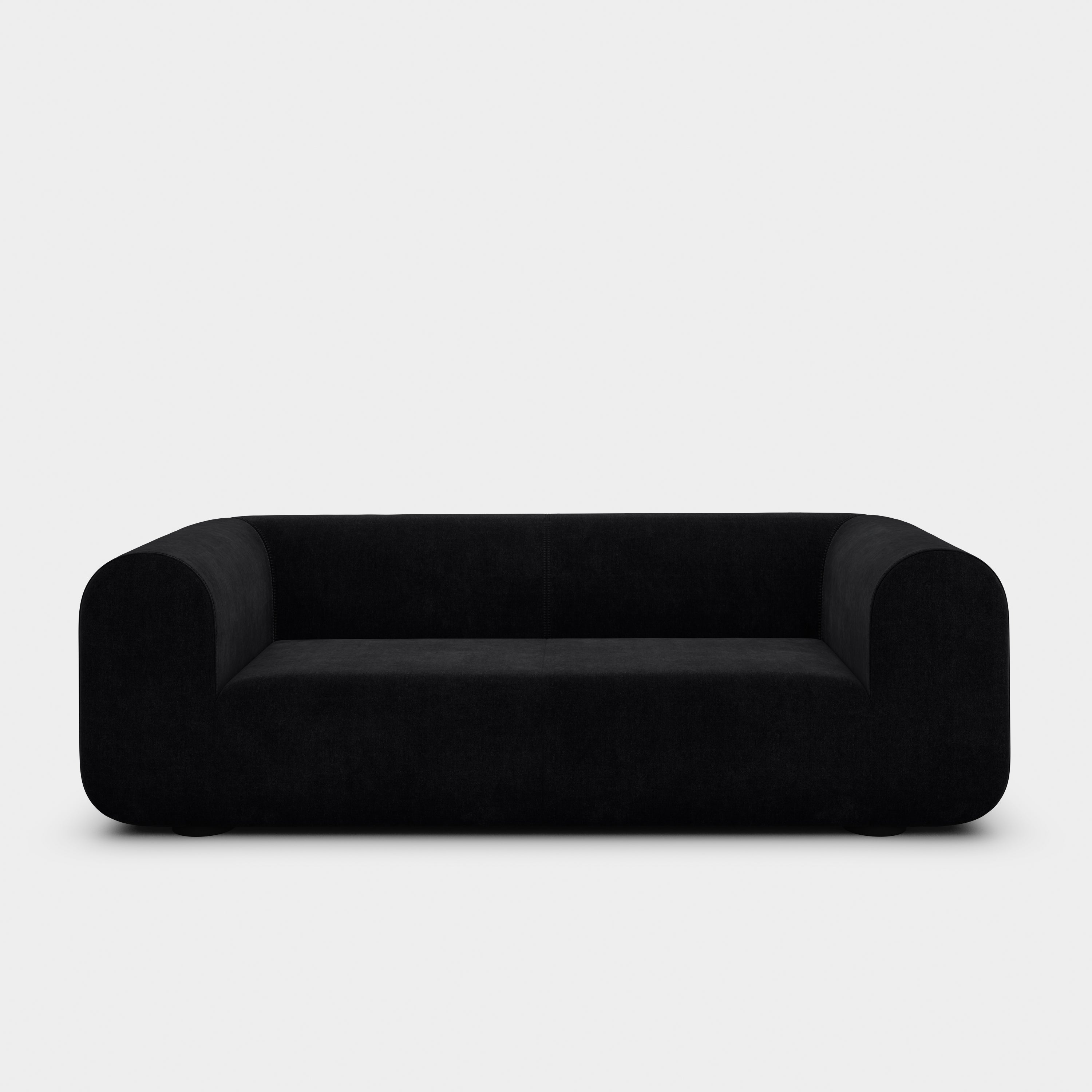 Plump 2.5-Seater Fixed Sofa