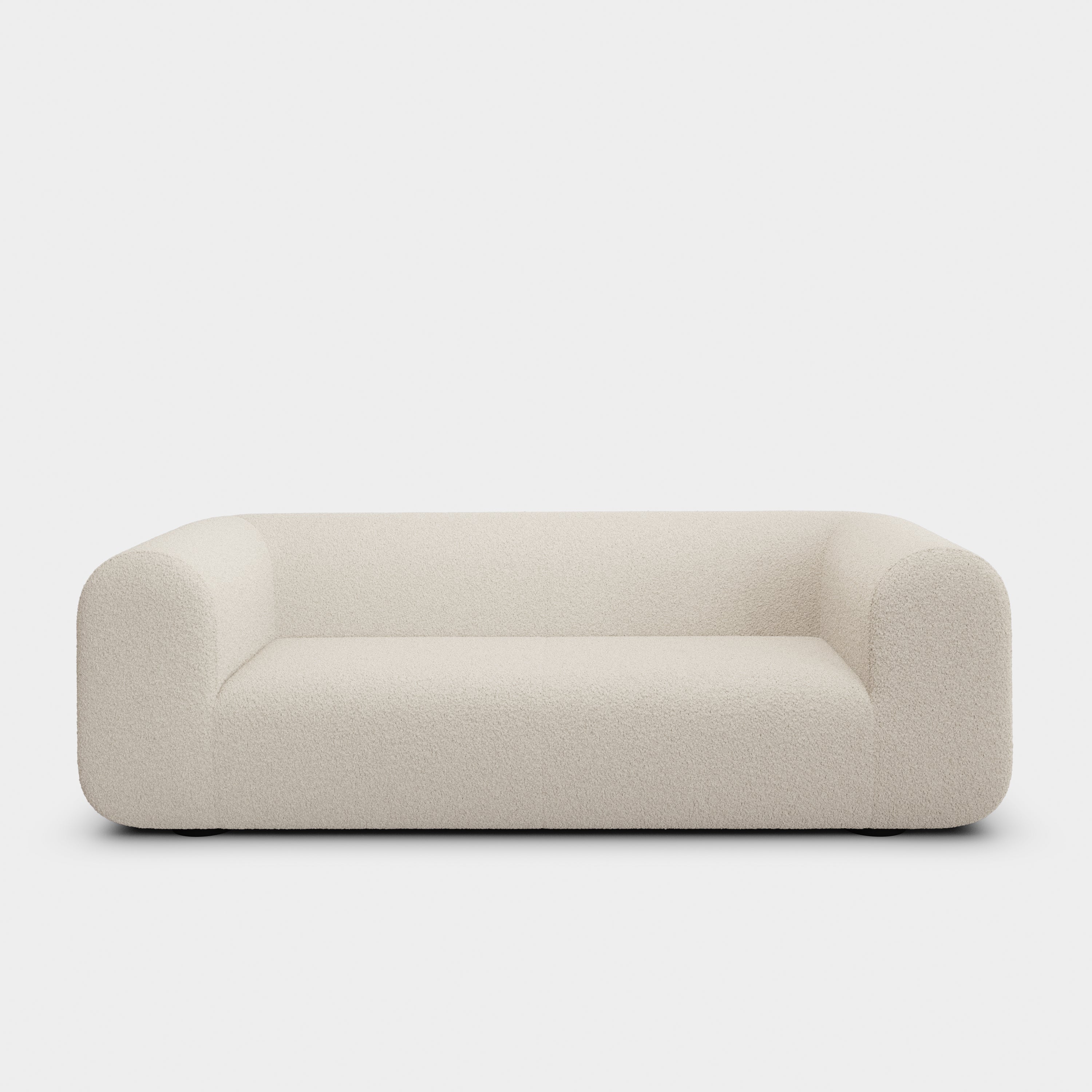 Plump 2.5-Seater Fixed Sofa