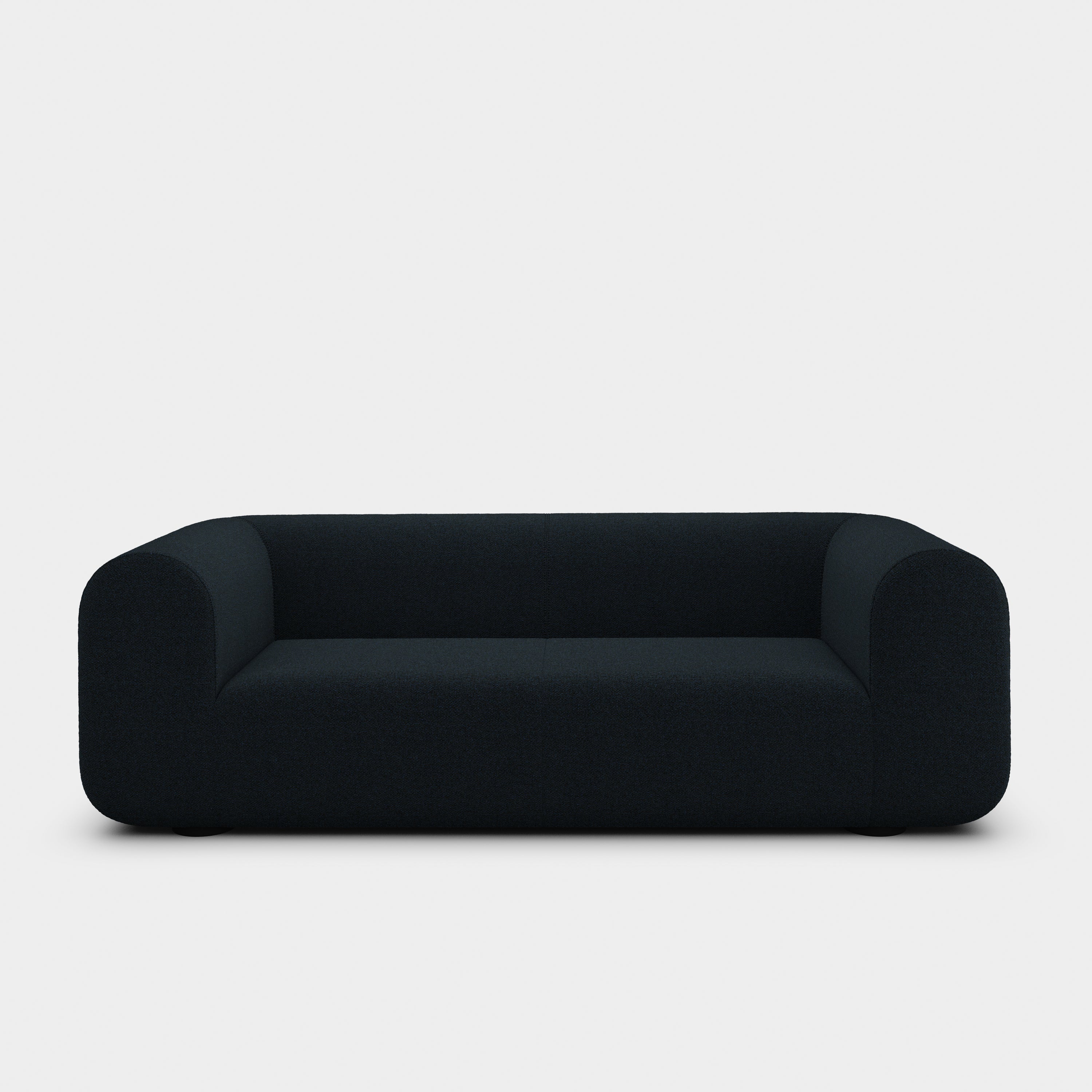 Plump 2.5-Seater Fixed Sofa
