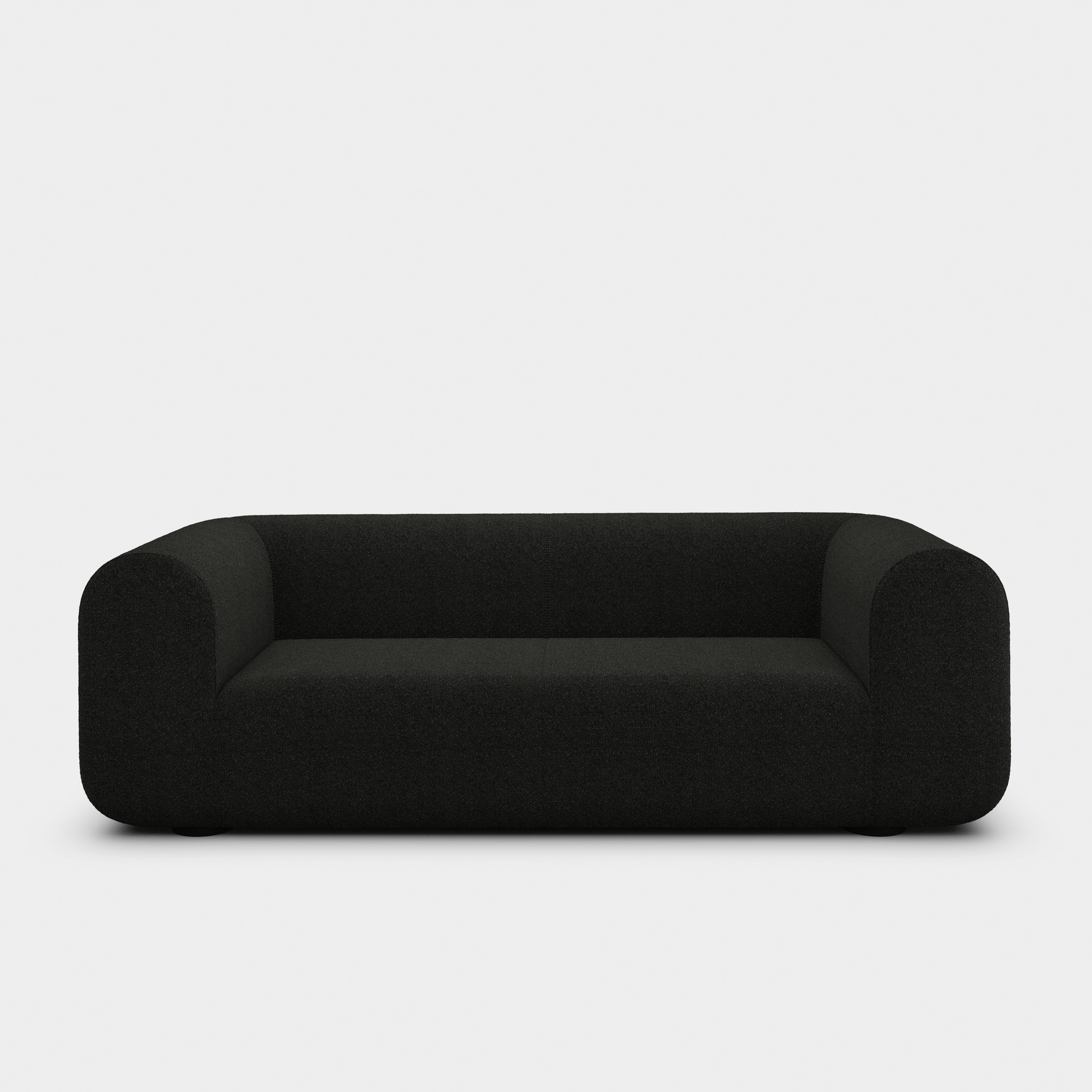 Plump 2.5-Seater Fixed Sofa