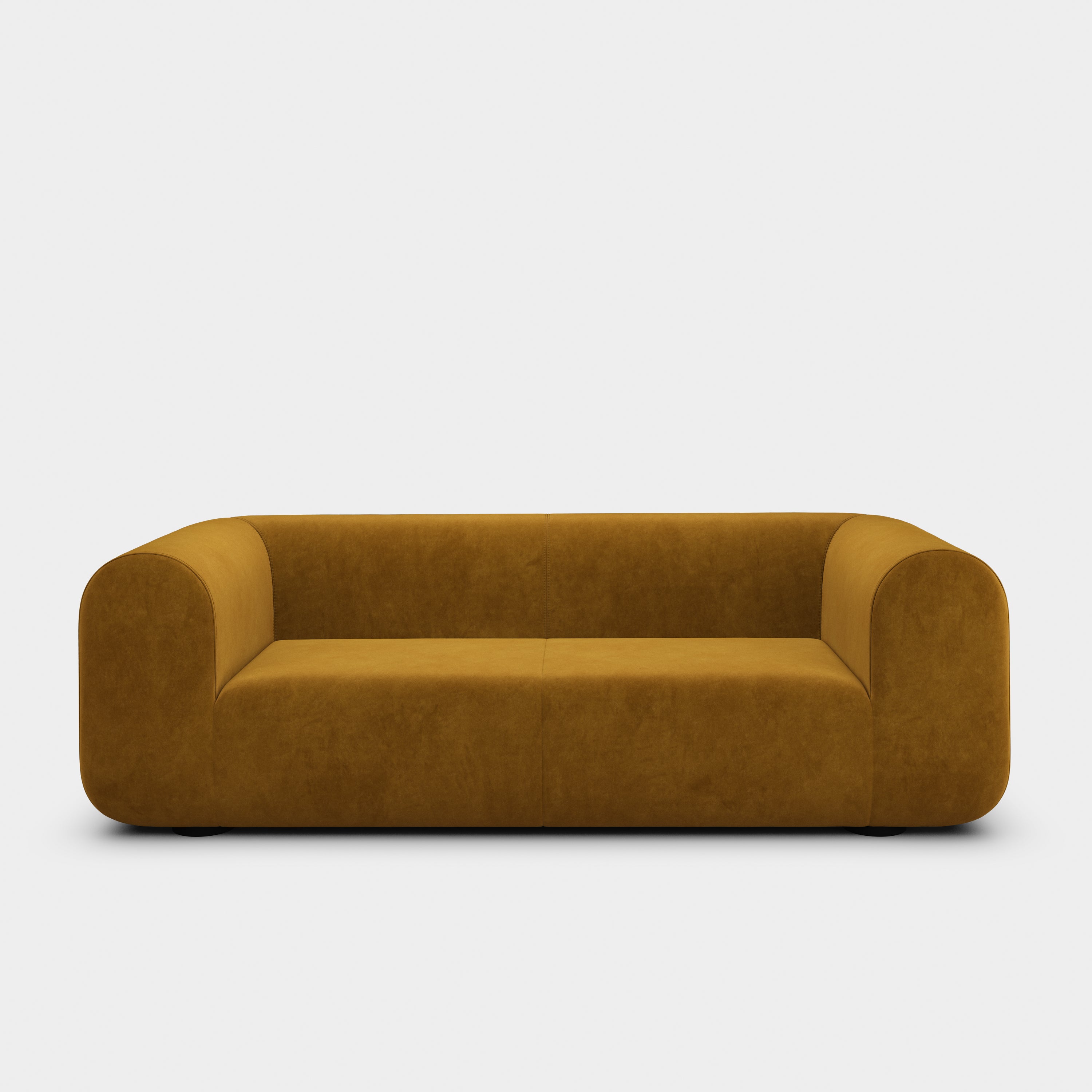 Plump 2.5-Seater Fixed Sofa