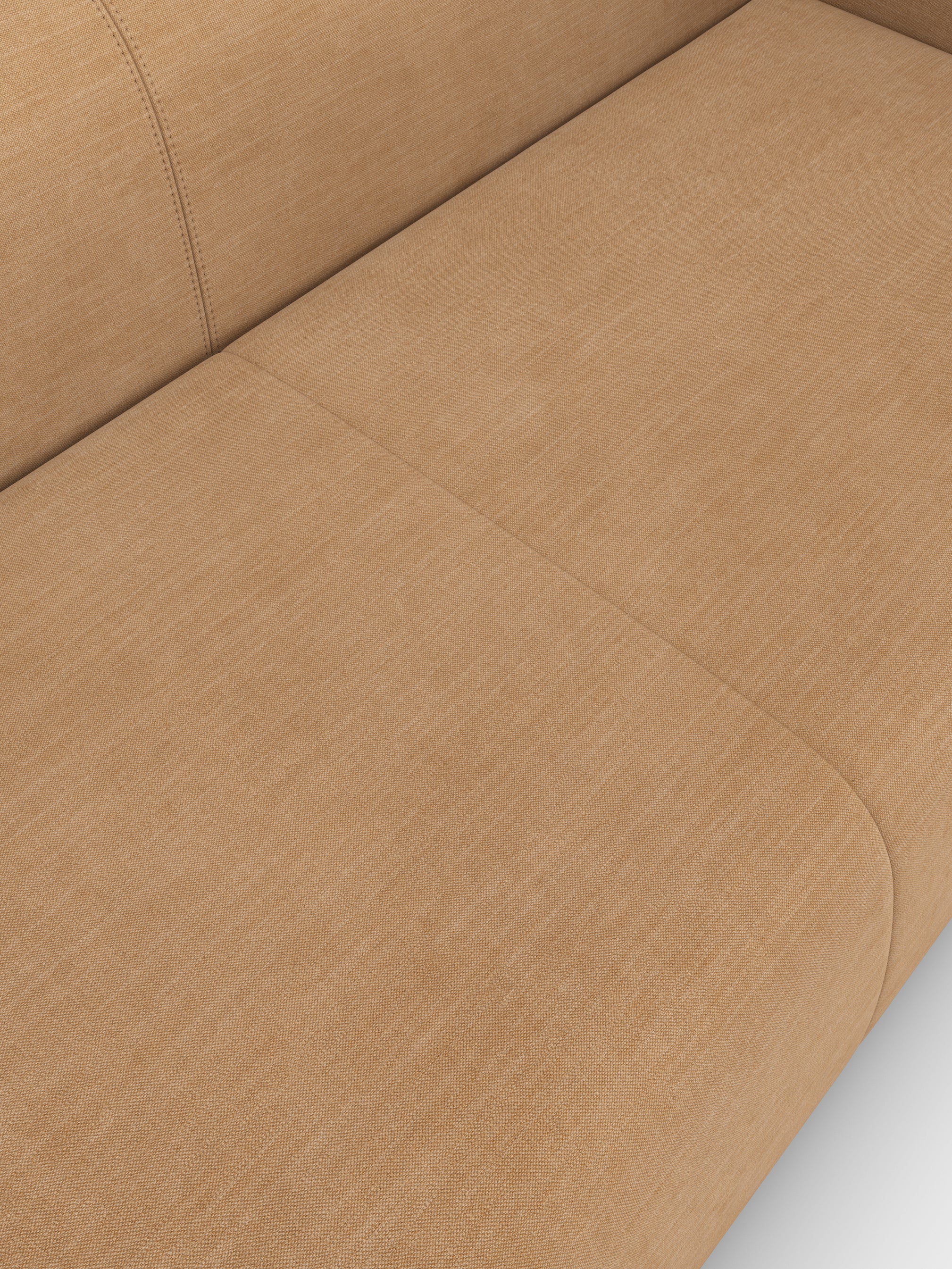Plump 2.5-Seater Fixed Sofa