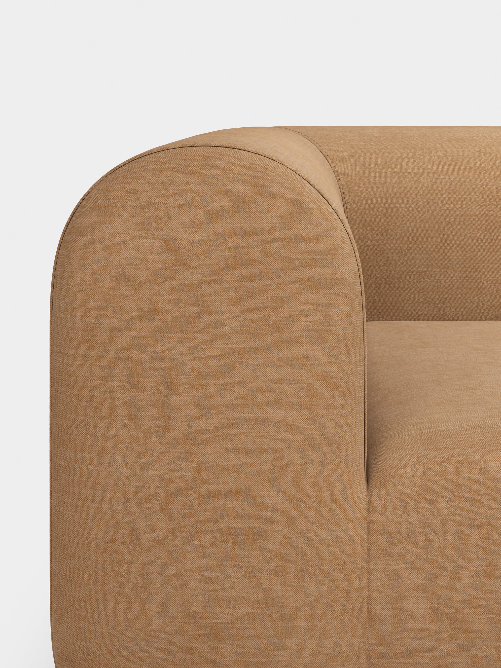 Plump 2.5-Seater Fixed Sofa