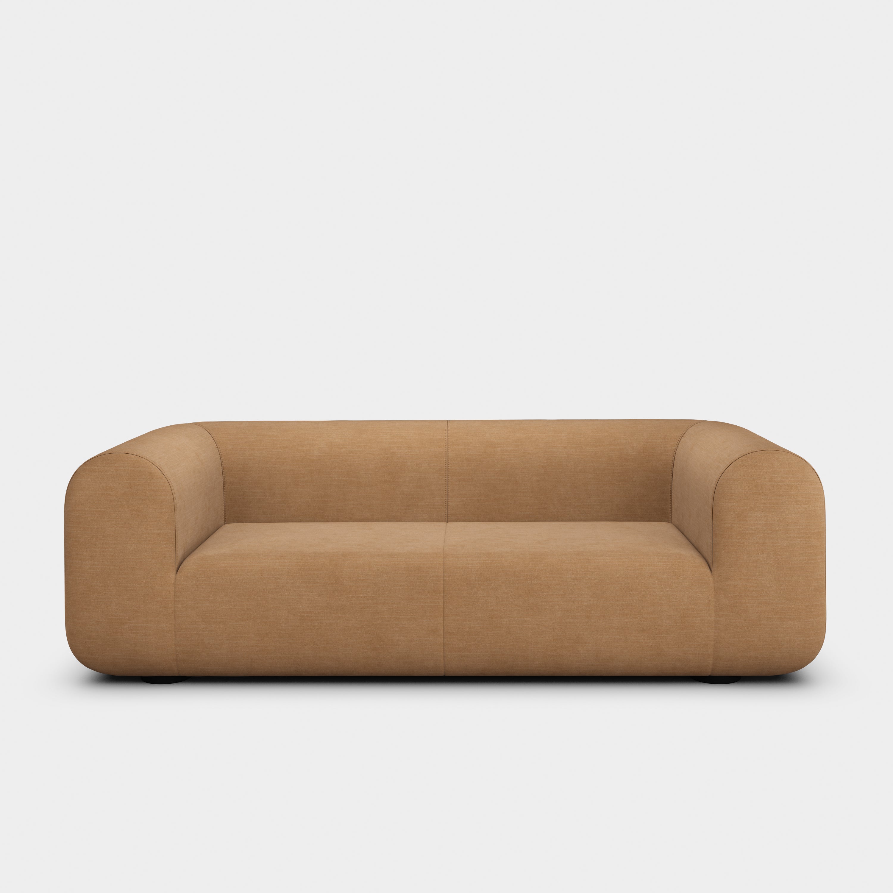Plump 2.5-Seater Fixed Sofa