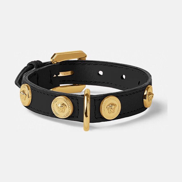 Icon Small Pet Collar