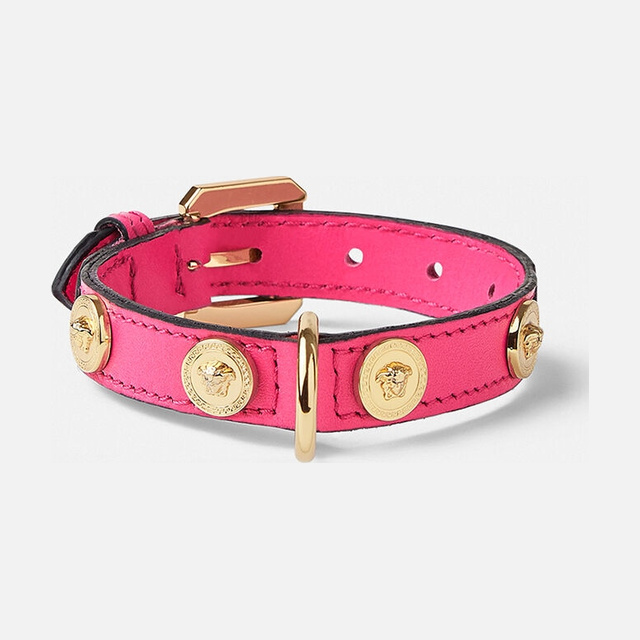 Icon Small Pet Collar