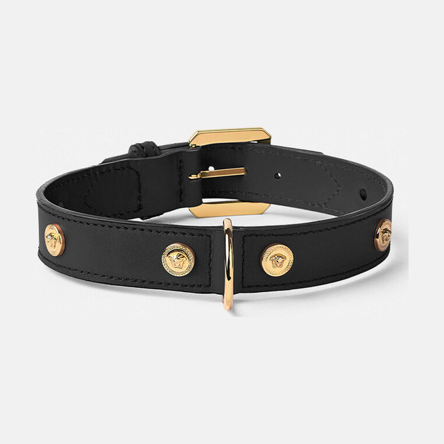 Icon Large Pet Collar