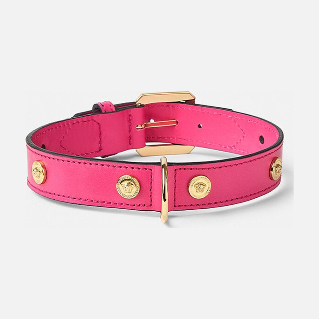 Icon Large Pet Collar