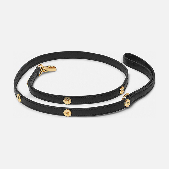 Icon Small Pet Leash
