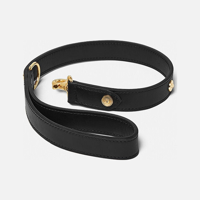 Icon Large Pet Leash