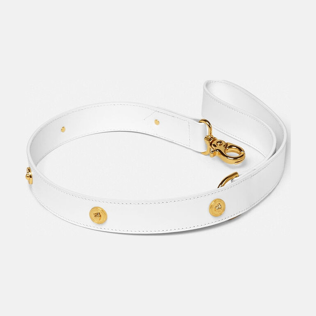 Icon Large Pet Leash