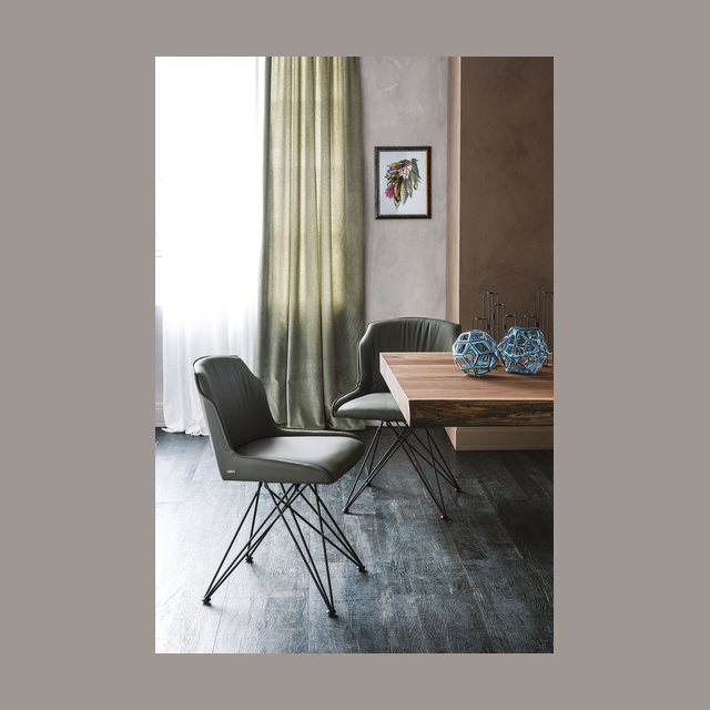 FLAMINIA