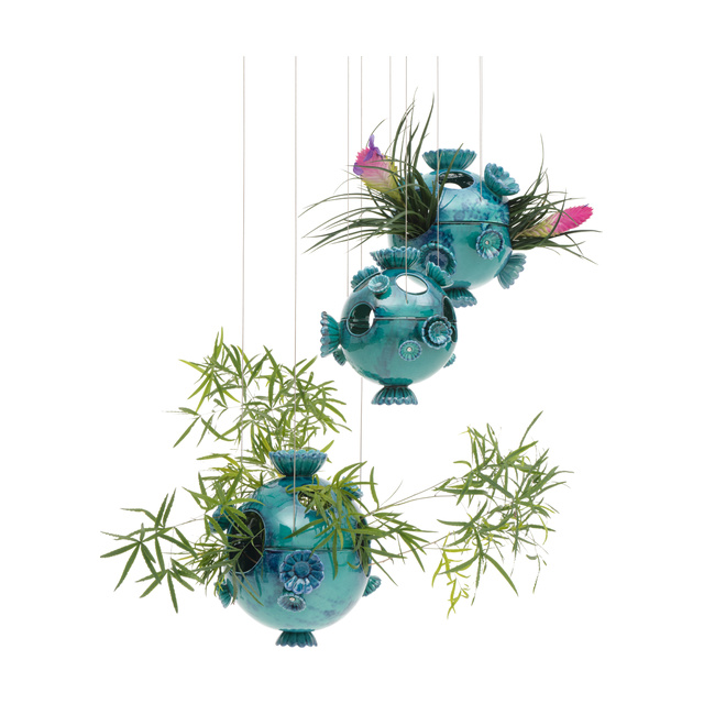 Marimo