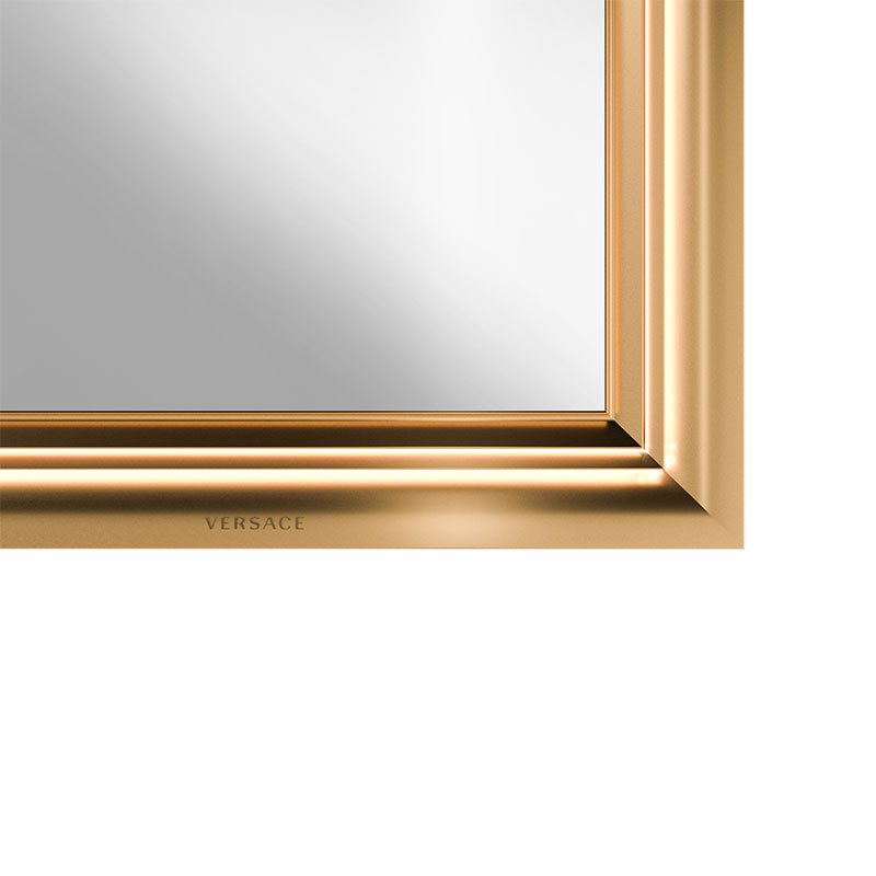 Ton sur ton 3D Versace logo on aluminium frame